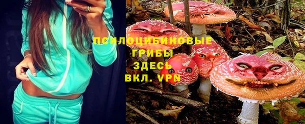 таблы Пересвет