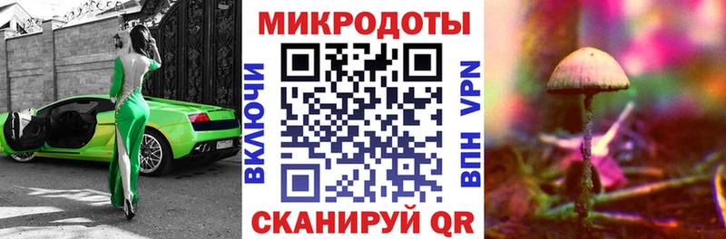 где можно купить   Ишимбай  Псилоцибиновые грибы ЛСД 